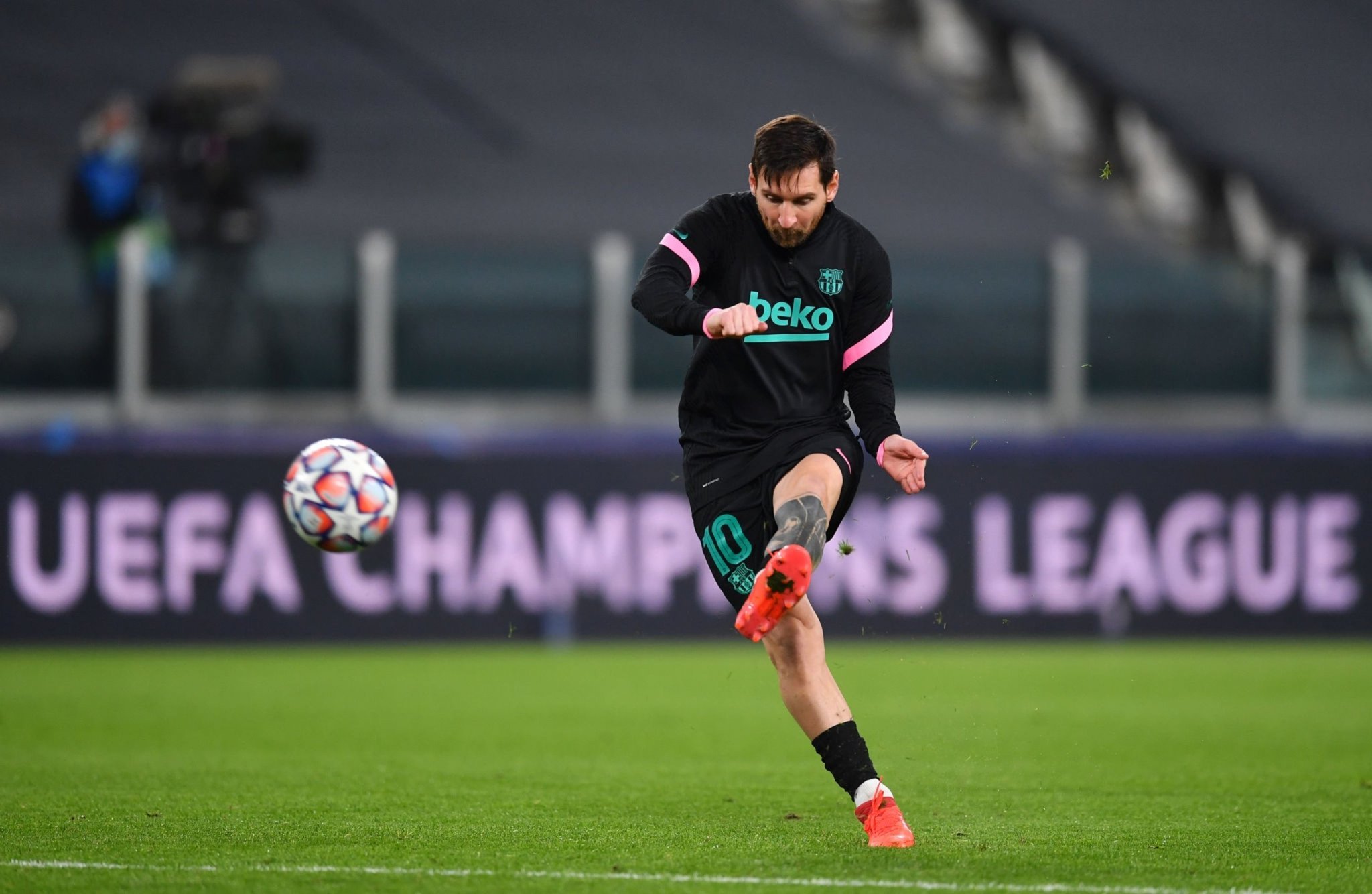 我们展示了 我们展示了