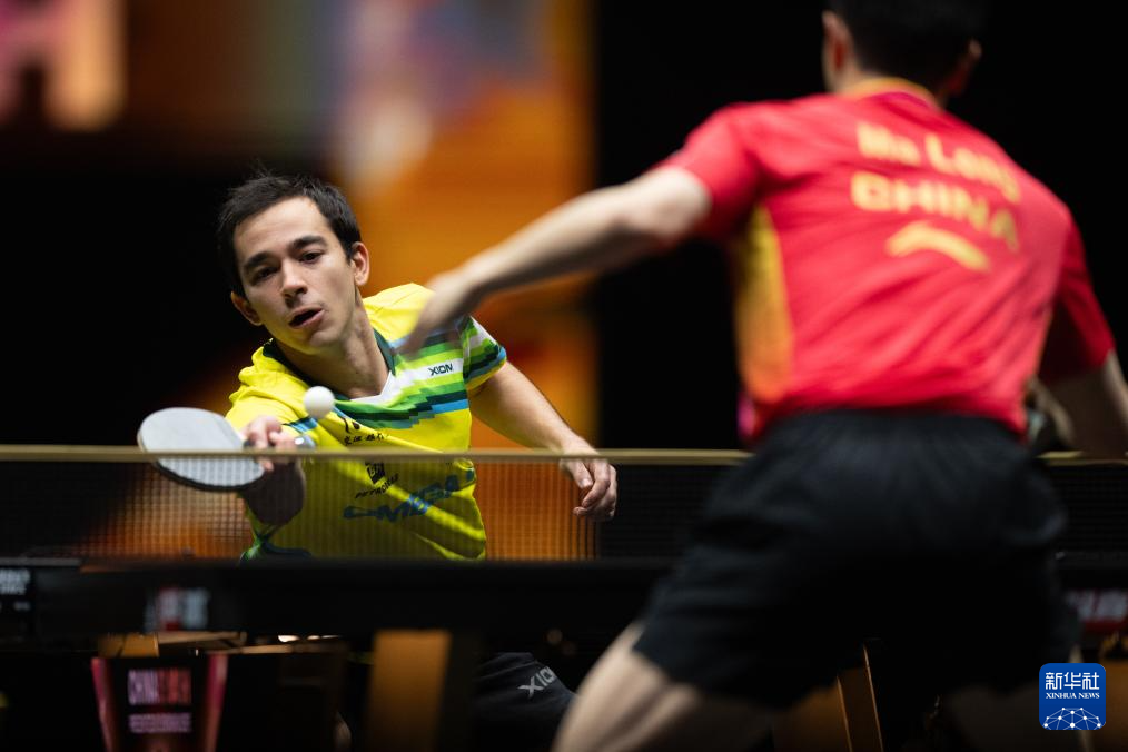 为掘金队赢 为掘金队赢